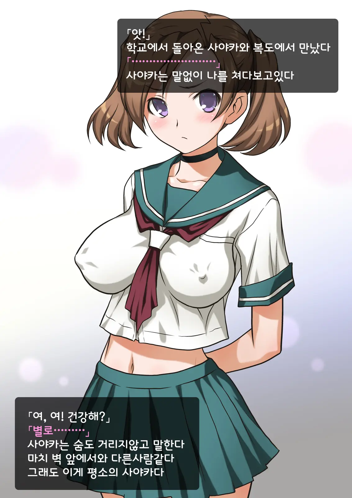 Imouto Wa Nama Onaho ~Sayaka Wa Onii-Chan Senyou Sei Gangu~